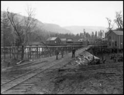 Columbia & Western Railway tracks crossing Trail Creek gulley between Cedar and Bay Avenues