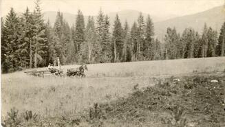 Horses and wagon on Walter Clough's ranch on the west side of the Slocan River