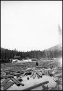 Baird Bros. log boom on Mabel Lake at Noisey Creek in winter