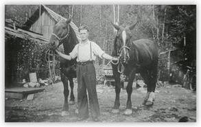Floyd Graham with team of work horses