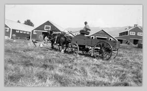 Mr. Adamson of Salmon Arm with horses and wagon