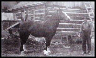 Huey McGillvray with horse named Babe