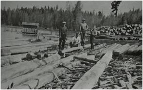 Peeling ties for the railroad