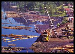 Logging booms on waterfront