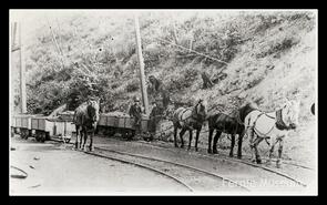 Horses and men at the entrance of the Michel Mine