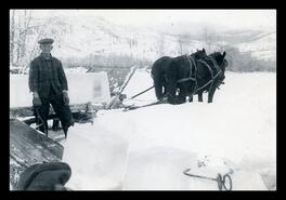 Loading ice blocks from the Granby River on to sleigh