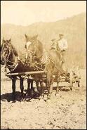 Harry Drake Sr. and Morrison on farm wagon