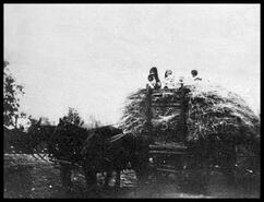 Kidston family on hay mound