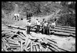 Group of men by log piles, two horses in background at unidentified road camp