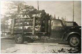 Loaded log truck