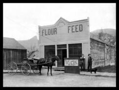 Greenwood City Flour and Feed Store