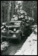 Sam Conkin hauling logs for Cady Lumber Company
