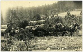 Garrison's logging teams, Princeton, B.C.