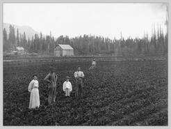 E.R. Burnett and others at Springlake celery farm