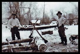 Ted and Sax Koyama cutting logs