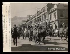 Horse and wagons in parade on Victoria Avenue in Fernie