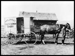 Mrs. J. Ripley South Vernon Dairy delivery wagon