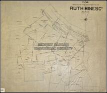 Plan showing the property of Ruth Mines Company