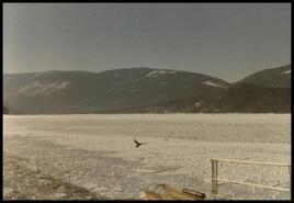 Shuswap Lake in winter