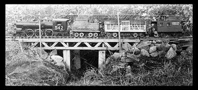 Bill Maynard's miniature backyard model train railway