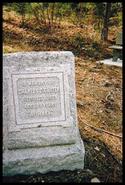 Charles Carter's gravesite