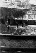 Wading pool located in the on Victoria Street next to the nurses' residence