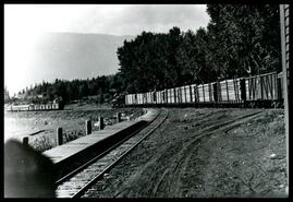 Log train from Arrowhead Pole Company, Arrowhead Line