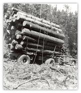 Cox Bros. logging truck