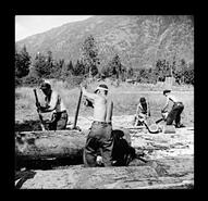 Men cutting logs