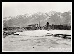 Elk Lumber Company mill during 1899 Elk River flood
