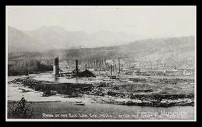 "Ruins of the Elk Lbr Cos. Mills after the great fire, Fernie, B.C."