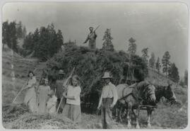 Monro family members harvesting hay