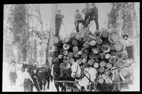 Sleigh loaded with logs at McKenzie's camp  ready to go down steep hill