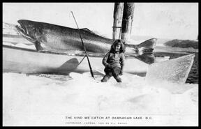 "The kind we catch at Okanagan Lake, B.C."
