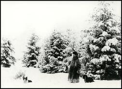 [Man with two dogs in snowy forest]