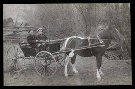 Children posing in horse-drawn buggy, Keremeos
