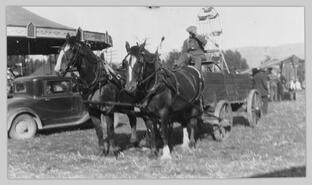 Wagon and horses at Interior Provincial Exhibition