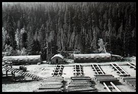 Burns Lumber Co., No. 5 mill up Koch Creek