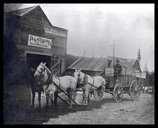 Horse and wagon in front of Palace Stables, Greenwood