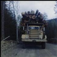 Jack Tillen's truck loaded with logs near Bianic Creek Junction