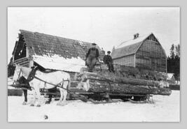 Load of logs on horse-drawn sled