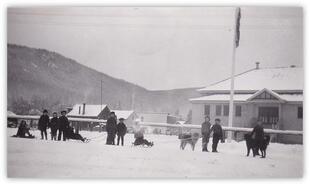 School children with sleds and dogs at Lumby Primary School