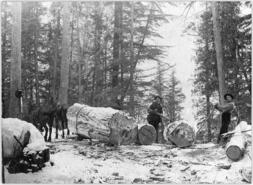 William Fortune and Eli Johnson logging with horses near Mabel Lake