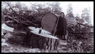 Mrs. Harry Rowels beside large tree stumps and logs