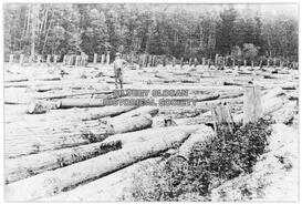 Koch's logs