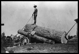 John McClure riding logs at the Clark farm