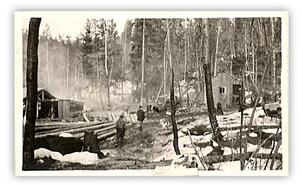 Norwegian Creek sawmill