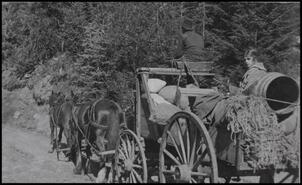 Archie Rae and his sister Jessie Rae on a wagon of supplies for the Ottawa Mine