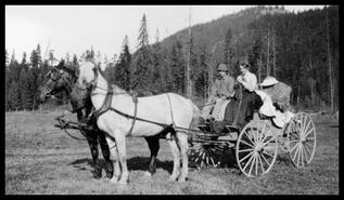 Ellen Ellison and man in horse-drawn cart
