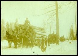 Horses and men with sleighs loaded with logs